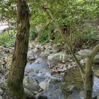 ویلا لب رود خونه
