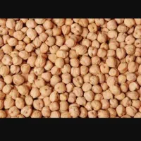 نخود لرستان