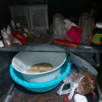 عروس هلندی و قفس جدا کن