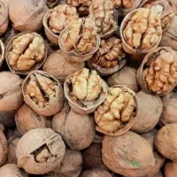 گردو پوست کاغذی امسالی تضمینی بشرط