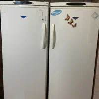 یخچال و فریزر امرسال