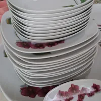 ۲ سرویس چینی  (چینی زرین)