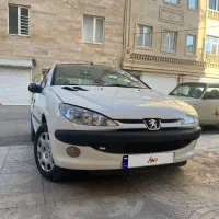 پژو 206SD سفارشی آرین