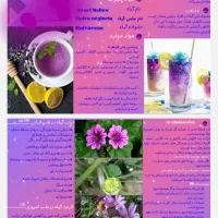 طراحی و نوشتن اینفوگراف و تراکت ...