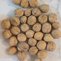 گردو پوست کاغذی درجه یک