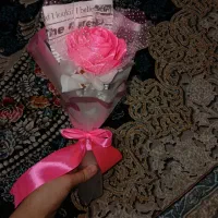 تک گل ربانی|گل مصنوعی|سنگر, |دیوار