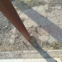 جا بنری با سیم بکسل پیچی|فروشگاه و مغازه|بهار, |دیوار