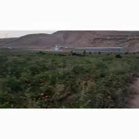 اجاره 6هکتار زمین حاصلخیز با آب و برق مستقل