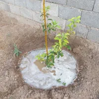 یک-قطعه-زمین