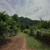 نیاز به یک سرایدار در روستا