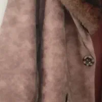 پالتو