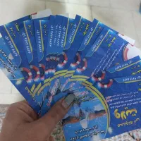 بلیت استخر چناران