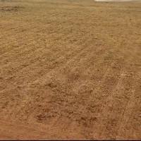 اجاره ۲۶ هکتارزمین بارانی تحت فشار