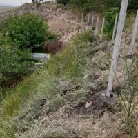 تولیدی فنس و پایه فنس|خدمات پیشه و مهارت|مراغه, |دیوار