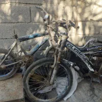 دوچرخه ۱۶..۲۰..۲۴|دوچرخه، اسکیت، اسکوتر|میناب, |دیوار