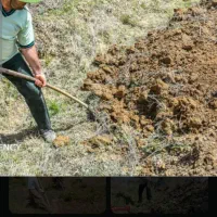 بیلزنی باغ و باغچه