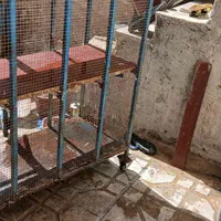 قفس سالم و تمیز .و دو طبقه  و چرخ دار|پرنده|شیراز, سعدیه شمالی|دیوار