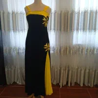 فروش تعدادی لباس مجلسی  و مانتو با قیمت های ارزان|لباس|مرودشت, فاز اول شهرک فرهنگیان|دیوار