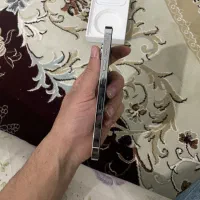 ایفون ۱۴ پرو|موبایل|شیراز, منطقه هوایی شهید دوران|دیوار