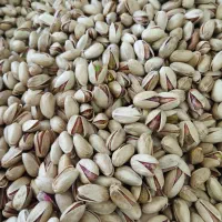 پسته شاهپسند