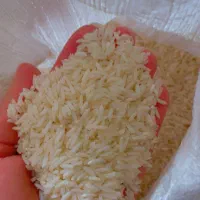 برنج طارم هاشمی درجه