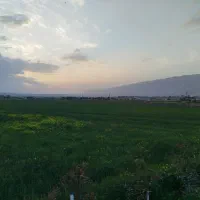 زمین مسکونی