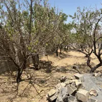 ویلا باغ ۴۰۰ متر گلدشت قلعع سفید