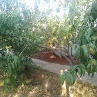 1400-متر-باغ-ویلا-روستای-فراگرد