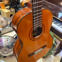 گیتار آریا Ak80