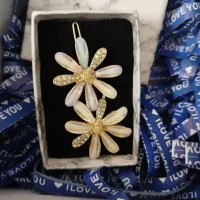 گلسر اکسسوری مو