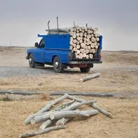 خریدار چوب خشک وتر