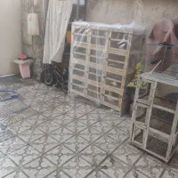 سلام قفس 12خان جای کبوتر