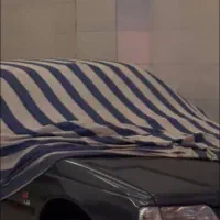 ۴۰۵دلفینی