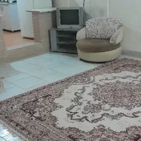 اجاره روزانه/هفتگی/ماهانه آپارتمان ۶۰ متری|اجارهٔ کوتاه‌مدت آپارتمان و سوئیت|قزوین, |دیوار