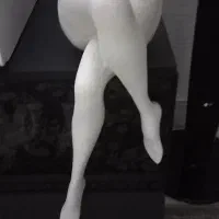 مجسمه  مدل پا آویزی