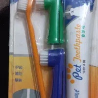 مسواک   گربه وسگ وپرزگیر