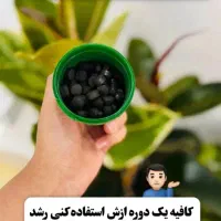 قرص کود ارگانیک|گل و گیاه طبیعی|زنجان, |دیوار