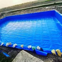 انواع ورق های استخری
