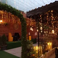 باریستاخانم یاآقا