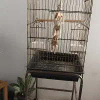 قفس پرنده