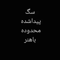 سگ نژاددار پیدا شده محدوده باهنر