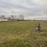 زمین-باغی-زراعی-سندتک-برگ