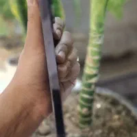 گوشی آیفون ۱۴ پرومکس zaa اصلی|موبایل|مشهد, دانشجو|دیوار