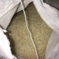 برنج درجه ۱ ایرانی
