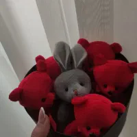 باکس گل و عروسک|گل مصنوعی|بیرجند, |دیوار