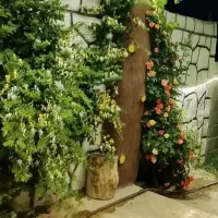 گلخانه وباغ