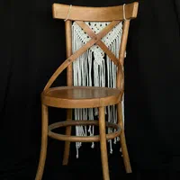 ظروف کرایه و تشریفات مجالس شاد