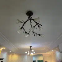لوستر و اباژور و دیوارکوب|لوستر و چراغ آویز|رشت, بلوار گیلان|دیوار