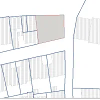 زمین-با-پروانه-زمین-پروانه-دار