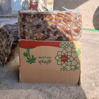 فروش خرما